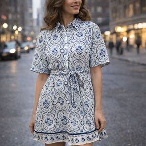 H & M women’s blue and cream dress.